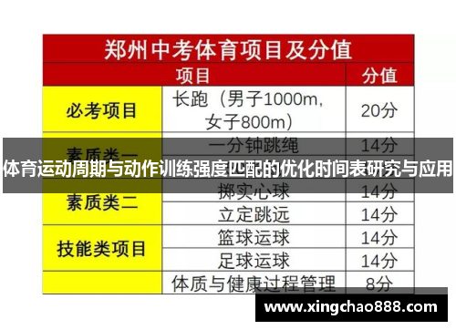 体育运动周期与动作训练强度匹配的优化时间表研究与应用