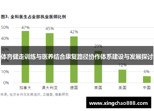 体育健走训练与医养结合康复路径协作体系建设与发展探讨