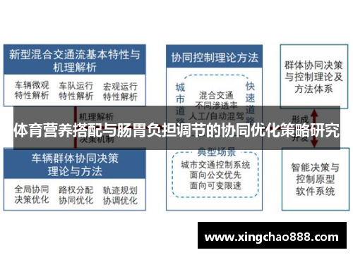 体育营养搭配与肠胃负担调节的协同优化策略研究